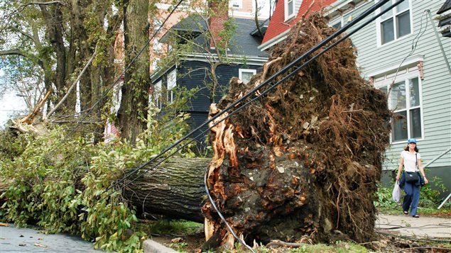 Séquelles de l'ouragan Juan en Nouvelle-Écosse en 2003
