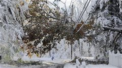  Dégats suite à une tempête hivernale au Nouveau-Brunswick