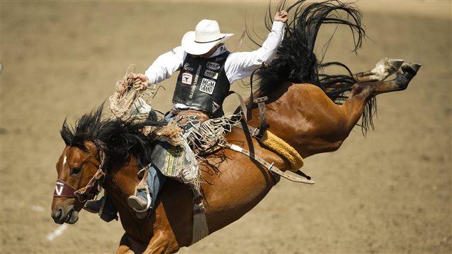 Bradley Harter, de Loranger, en Louisiane, chevauche Get Smart pendant la finale de monte d'un cheval sellé, au Stampede de 2014