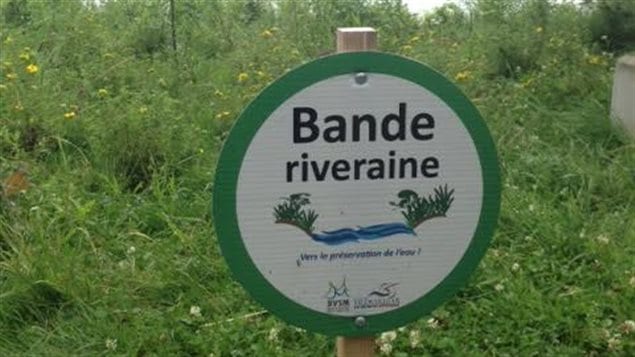 bande riveraine