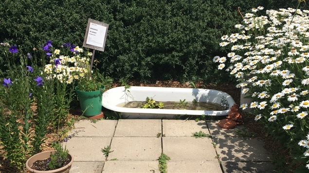 Une vue du jardin de l'entreprise Fleurs et Délices Une vue du jardin de l'entreprise Fleurs et Délices