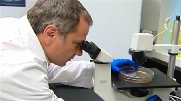 Le Dr Gary Kobinger, du Laboratoire national de microbiologie de Winnipeg.