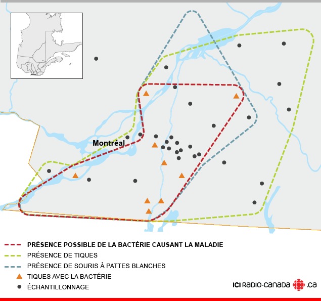 La maladie de Lyme prend de l'ampleur | ICI.Radio-Canada.ca La maladie de Lyme prend de l'ampleur | ICI.Radio-Canada.ca