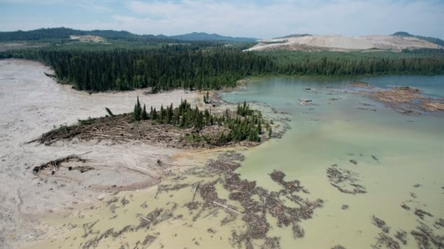 The British Columbia government wants answers to what caused the Mount Polley  tailings spill by the end of January. We see a wide shot of the B.C. interior with mountains in the far distance and a dark pine forest in the middle distance. In the forefront, we see the dark greenish-blue water of a river or lake surrounding a semi-barren island that is a mix of fallen, dead timber and scrawny pine trees. Not a pretty sight.