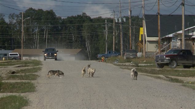 Une rue d'une réserve autochtone. 