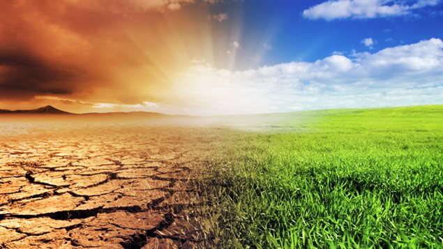 Terres asséchées au soleil Terres asséchées au soleil