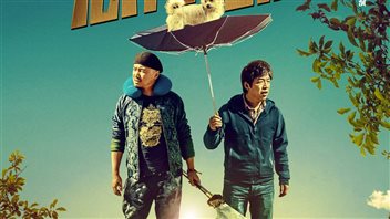 宁浩电影《心花路放》