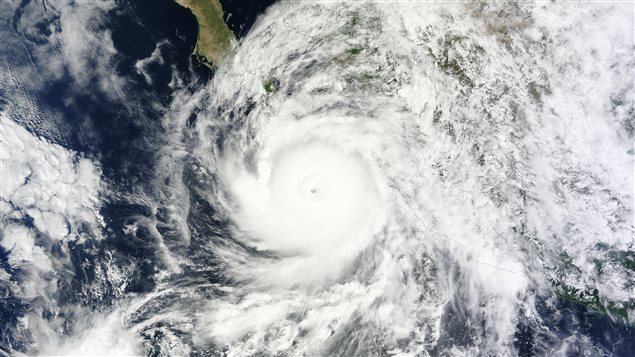 Image satellite de l'ouragan Odile.
