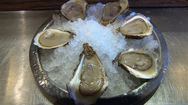 peligroso Fusión Rechazado Por qué todas las ostras no producen perlas? – RCI | Español