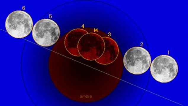 Le projet Global Exploration Roadmap, échafaudé par plus d'une dizaine d'agences spatiales, comprend un retour sur la Lune d'ici 20 ans.