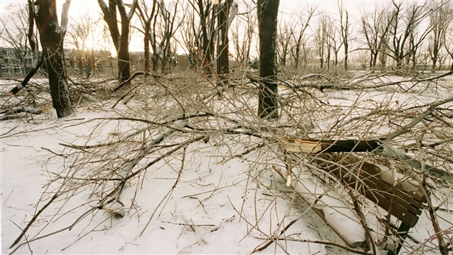 Le parc Sir-Wilfrid-Laurier au lendemain de la tempête de verglas, en janvier 1998 Le parc Sir-Wilfrid-Laurier au lendemain de la tempête de verglas, en janvier 1998