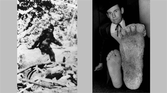 À droite, en 1967, le photographe Roger Patterson compare son pied à une empreinte qui serait celle du Sasquatch et à gauche la photo qu'il dit avoir prise de la bête mythique la même année. Photo : PC/Roger Patterson.