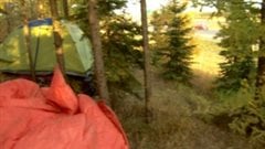 Une vieille tente vert lime trône paisiblement parmi les arbres à moins de vingt mètres de l’autoroute très achalandée Yellowhead tout juste à la limite d’Edmonton en Alberta.