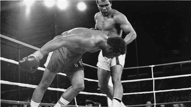 George Foreman va au tapis après avoir encaissé un solide coup de Mohamed Ali au 8e round. George Foreman va au tapis après avoir encaissé un solide coup de Mohamed Ali au 8e round.