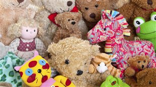 L’ours en peluche