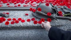 Des coquelicots déposés sur la tombe du soldat inconnu lors de la cérémonie commémorative du jour du Souvenir Des coquelicots déposés sur la tombe du soldat inconnu lors de la cérémonie commémorative du jour du Souvenir