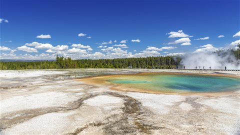 Le parc Yellowstone
