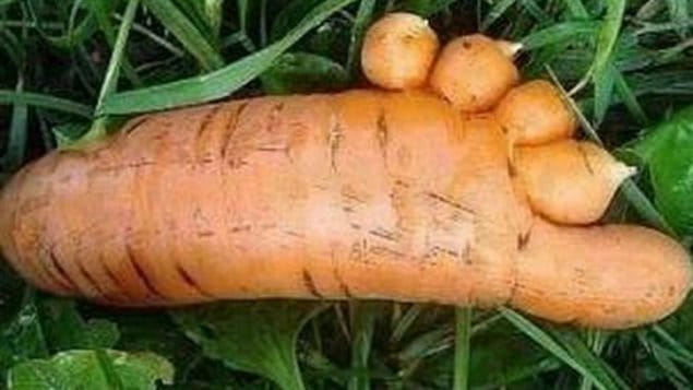 Les Gueules Cassées Has Been Selling Ugly Vegetables To Happy Consumers ...