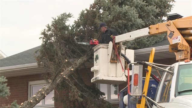 شجرة هوت على منزل جراء الرياح العاتية الليلة الماضية في شرق مقاطعة كيبيك