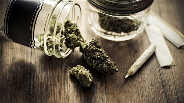 Santé Canada estime que plus de 40 000 Canadiens consomment légalement de la marijuana à des fins médicales, pour soulager leurs symptômes associés à des maladies comme la sclérose en plaques, le VIH, le cancer, ou encore l'épilepsie.