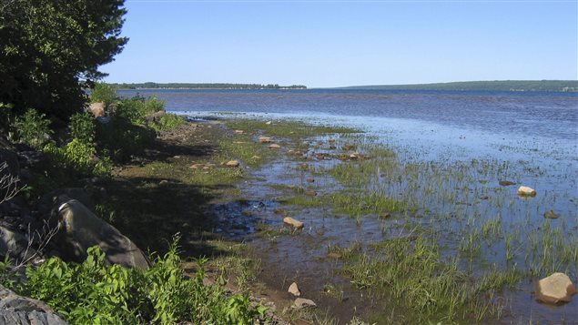 Lake Superior's Keweenaw Bay in 2007 where lake levels had fallen on the deepest and coldest of the Great Lakes. We see the blue water of the lake but also not a lot of water close to shore, which is green with barren rocks.