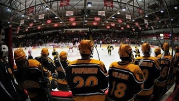 Junior benches are filled with players who will never rise any higher in hockey. We have a view from behind a team bench of players in brown jerseys with yellow trim and numbers watching the action on the ice. Overhead, lights glare down at the ice.