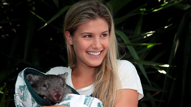 Eugenie Bouchard holds a baby wombat in the players lounge at the Australian Open in January. Bouchard's semifinal appearance in Melbourne propelled her to a terrific year. Dressed in white tee-shirt, Bouchard is cuddling the wombat wrapped in a blanket in her right arm. Her long blond hair is down and she has an enormous smile on her face.