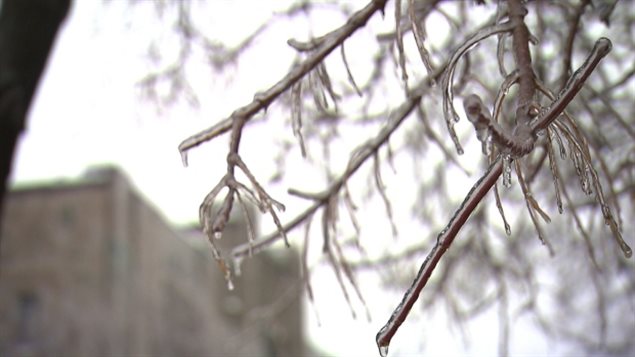 The combination of snow and ice this year is leading to a new soundscape:  the boom of a frost quake can be a frightening experience.  