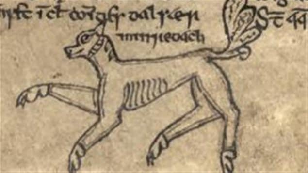 An illustration in the margins of the Book of Ballymote from the late 14th century (1391). The manuscript is housed in the Royal Irish Academy, Dublin