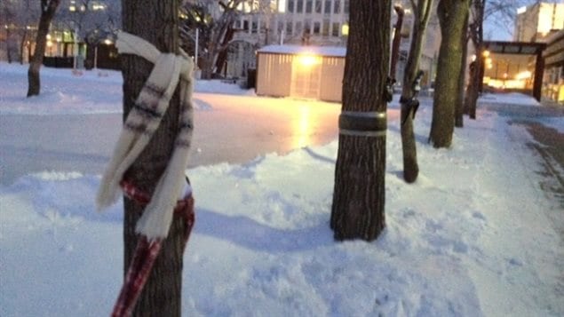 Regina en Saskatchewan : Tricots et Facebook pour affronter le froid 