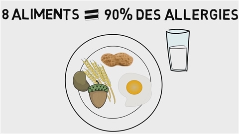 8 aliments sont responsables de 90 % des allergies alimentaires.
