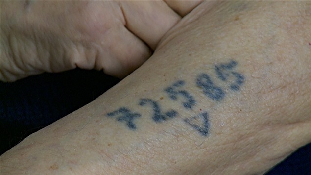 David Shentow porte encore son numéro de prisonnier sur son bras.