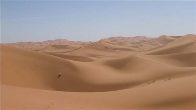 Dunas