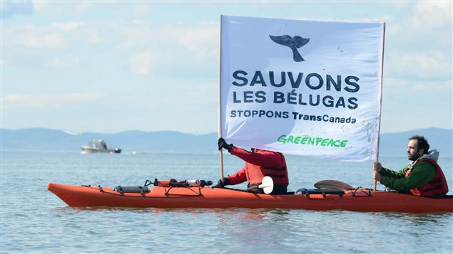En avril 2014, des militants de Greenpeace dénonçaient le projet de construction du port pétrolier à Cacouna.