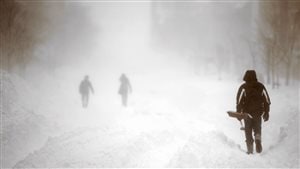 Meanwhile, back in Canada, shovels--not shorts--are the norm. We see a white out in Charlottetown earlier this month. In the foreground a man in a snow suit carries a shovel. Further ahead, two other pedestrians try to make their way.