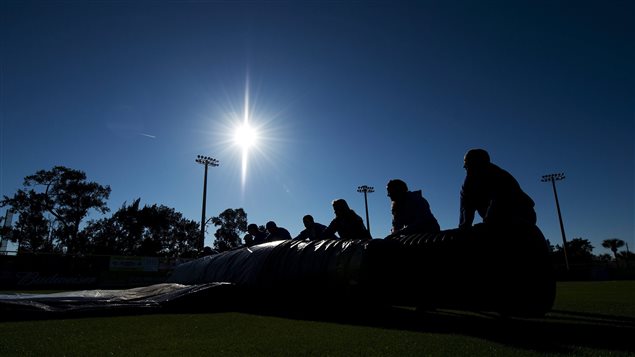 A grounds crew rolls off the tarp to get ready for baseball. The crew is in shadow behind the tarp. The sun is rising against a dark blue sky. Palm trees in the background soak it all in.