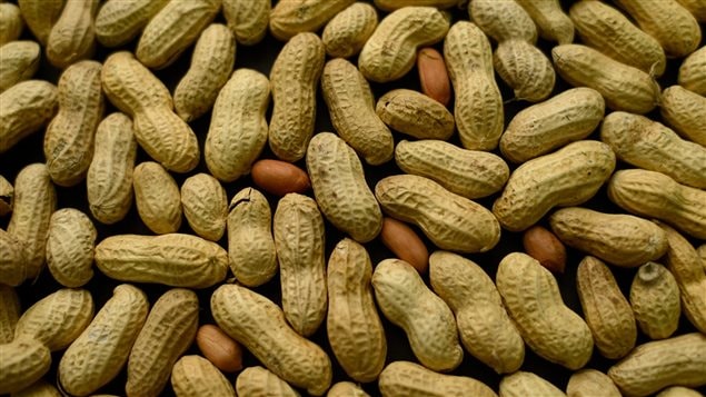 Contact with peanuts may be deadly for people who are severely allergic to them.
