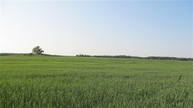 Témiscamingue Témiscamingue