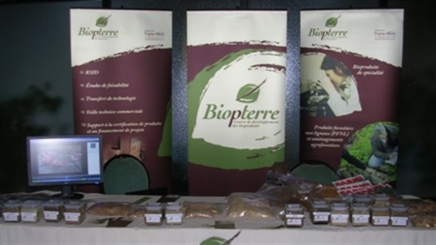 Biopterre: libérer le potentiel des plantes