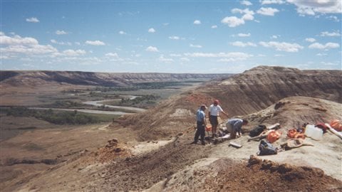 Site d'excavation d'un squelette de dinosaure en Alberta