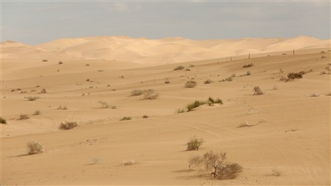 Du désert à perte de vue
