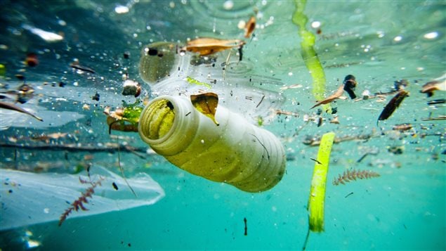 Race for Water, une expédition pour dresser le portrait de la pollution des océans