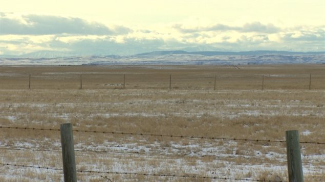 Des hivers plus chauds et plus secs pourraient avoir des conséquences néfastes pour les agriculteurs albertains 
