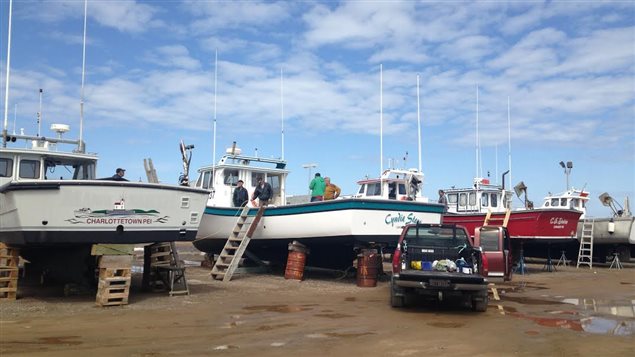 150502_7u663_caraquet-bateaux-homard_sn6