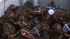 Homards