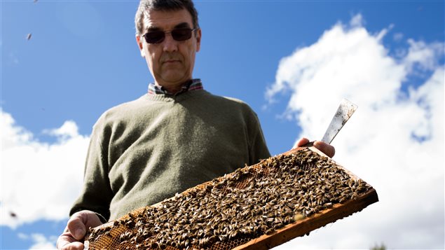 Yves Garez est apiculteur depuis plus de 40 ans dans la région de Nipawin, en Saskatchewan.