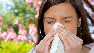 The allergy season has arrived in Canada as trees, flowers and other plants blossom. Other people suffer allergies all year long from things like cat hair (dandruff) or nuts ar shellfish, some of which can be extremely dangerous. However, new Canadian research may prevent allergy development