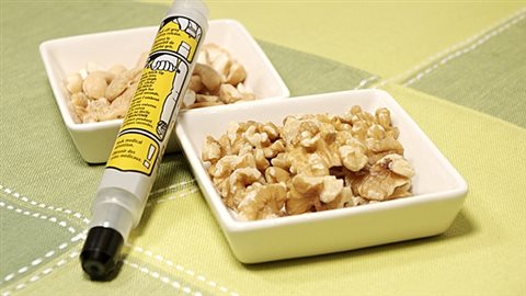 Perhaps in the future epinephrine auto-injectors to combat extreme food allergy reactions, will no longer be needed, thanks to research being conducted in Canada