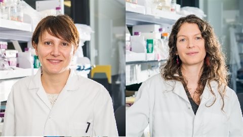 L-R Elena Fossati and Lauren Narcross were princinples in the research at professor Martin's lab at Concordia Univeristy