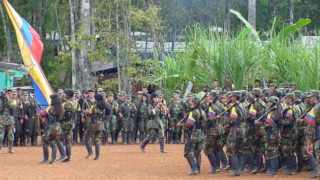 Guerrilla de las Fuerzas Armadas Revolucionarias de Colombia (FARC).